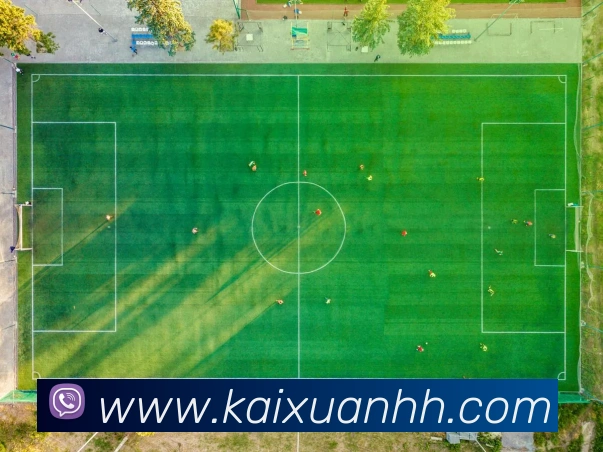 互动解说服务